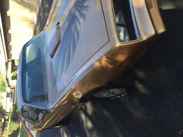 1978 Pontiac Grand Am 2-Dr Coupe w/ T-Top - photo 9