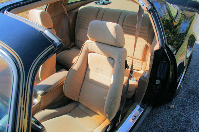 1978 Pontiac Trans Am - photo 12