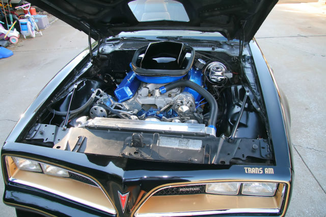 1978 Pontiac Trans Am - photo 7