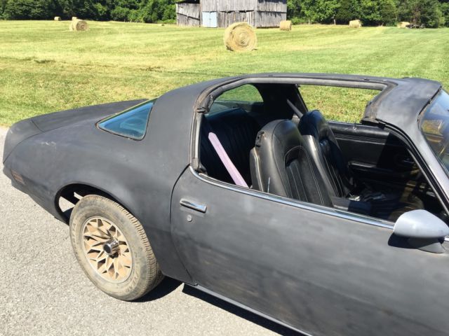 1978 Pontiac Trans Am - photo 5