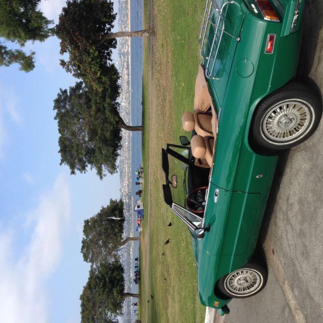 1978 Alfa Romeo Spider Spider - photo 2