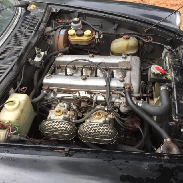 1978 Alfa Romeo Spider
