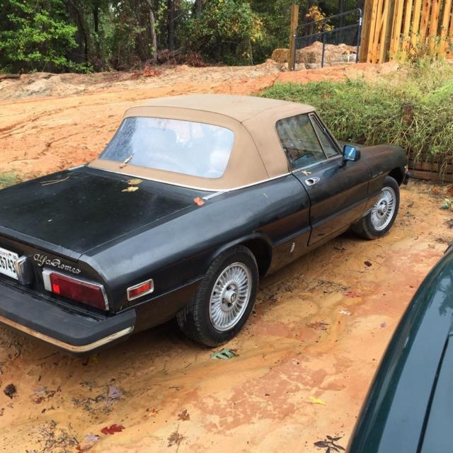 1978 Alfa Romeo Spider - photo 2