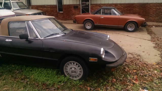 1978 Alfa Romeo Spider - photo 4
