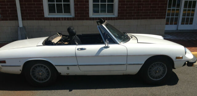 1978 Alfa Romeo Spider - photo 3