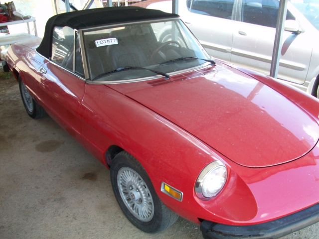 1978 Alfa Romero Spider 1978 Alfa Romeo Spider