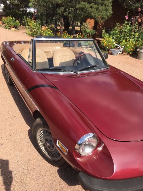 1978 Alfa Romeo Spider Veloce - photo 4