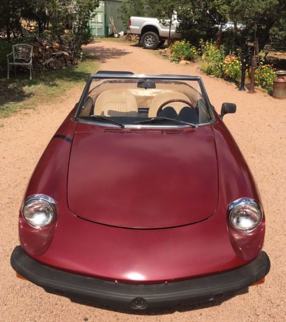 1978 Alfa Romeo Spider Veloce - photo 5