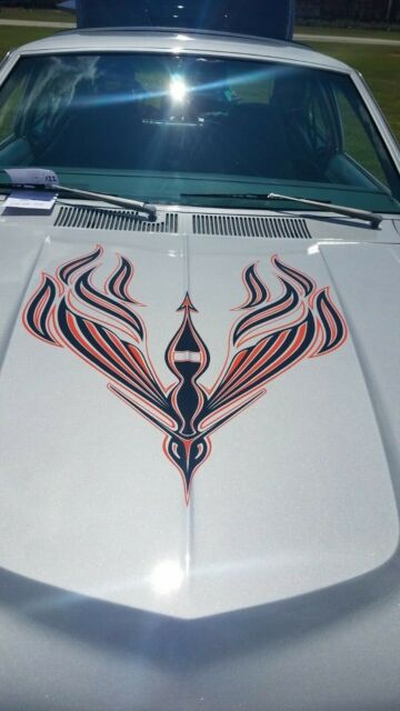 1978 AMC AMX AMX Package - photo 2
