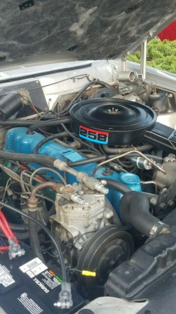 1978 AMC AMX AMX Package - photo 7
