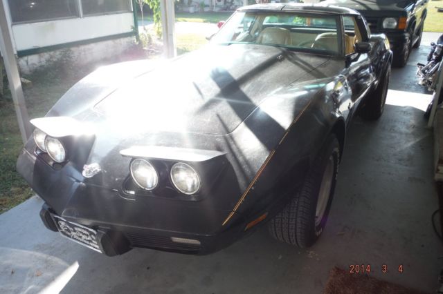 1978 Chevrolet Corvette - photo 12