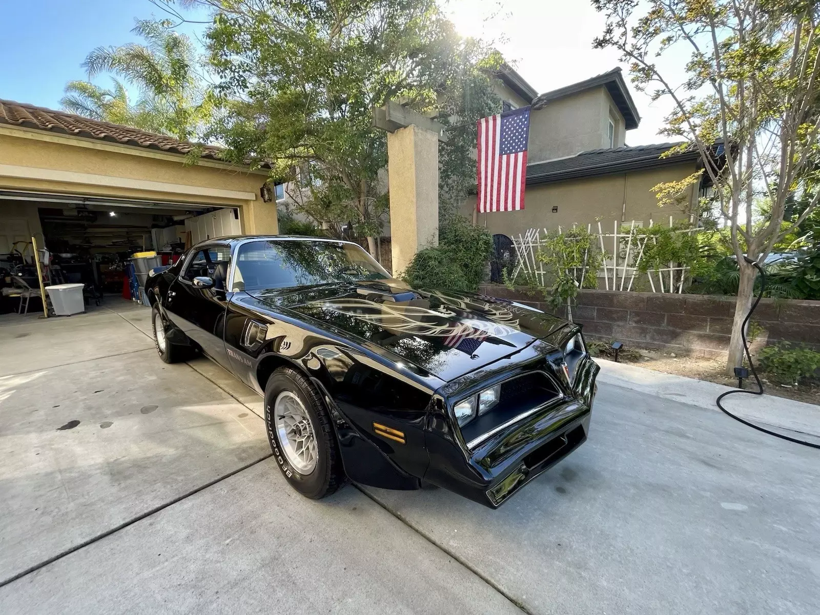 1978 Bandit Trans-AM Y88 special Edition Black On Black, W72 and WS6 Packages 1978 Pontiac Trans Am
