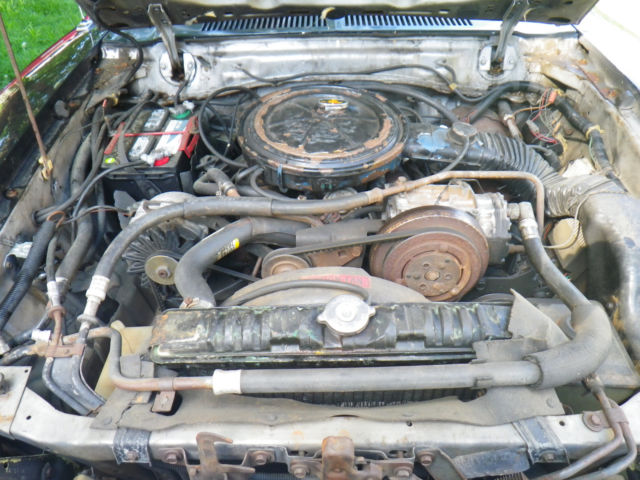 1978 Ford Mustang - photo 2