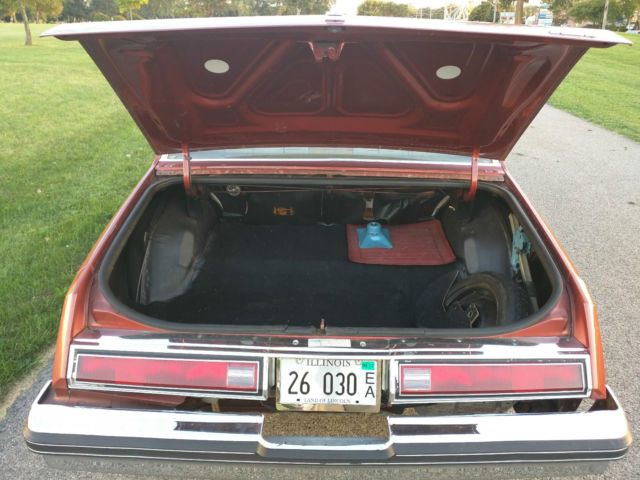 1978 Buick Regal - photo 8