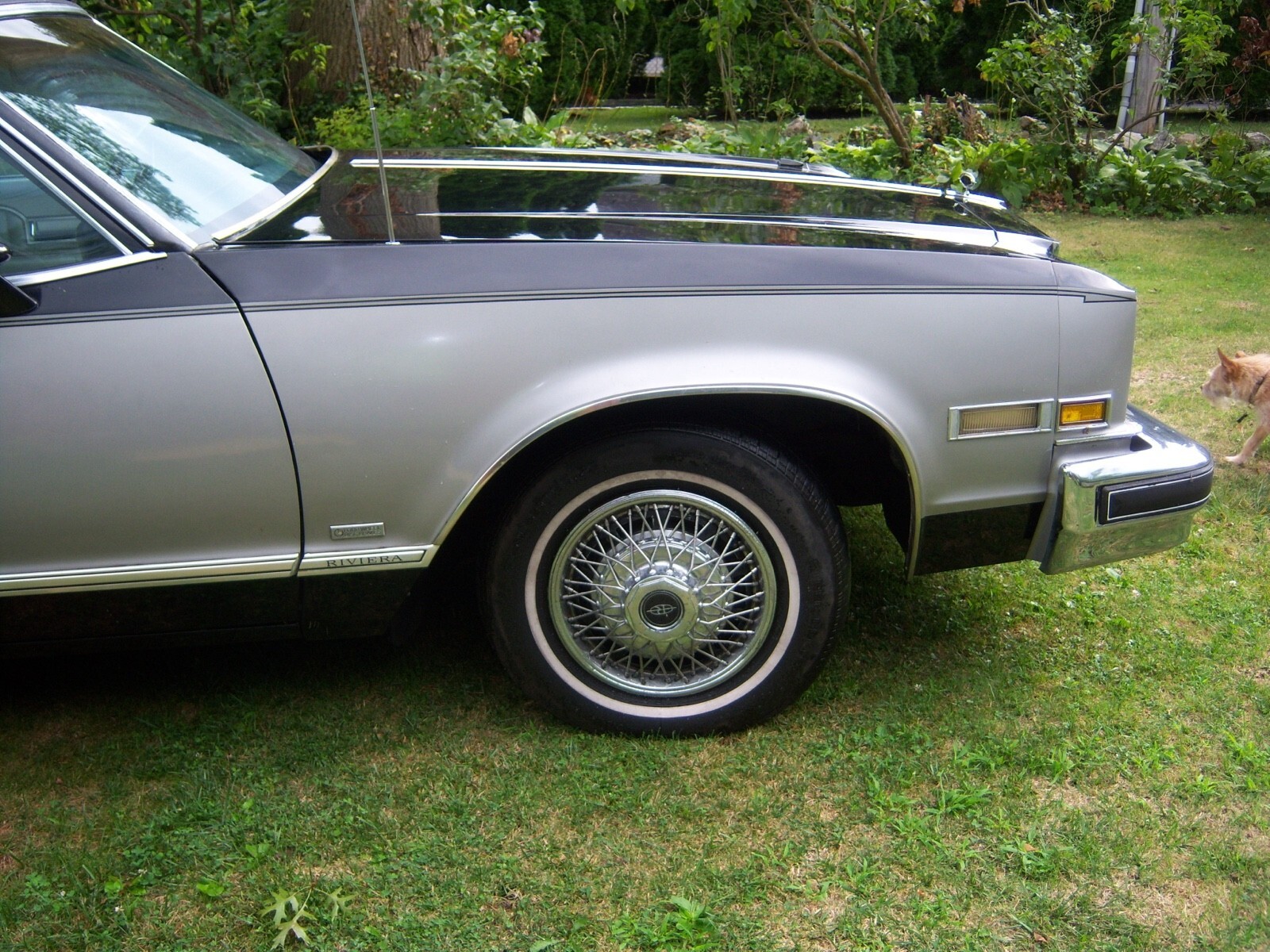 1978 Buick Riviera 1978 Buick Riviera Anniversary Edition - photo 4