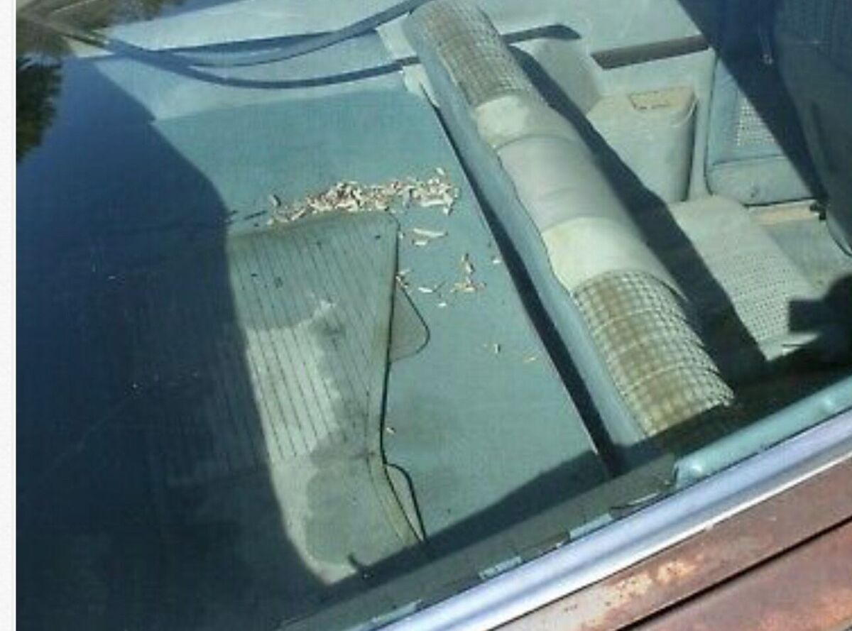 1978 Buick Skyhawk sport - photo 11
