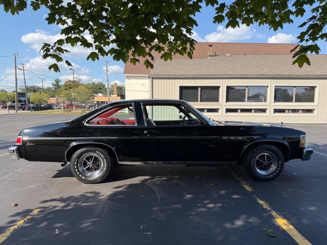 1978 Buick Skylark - photo 10