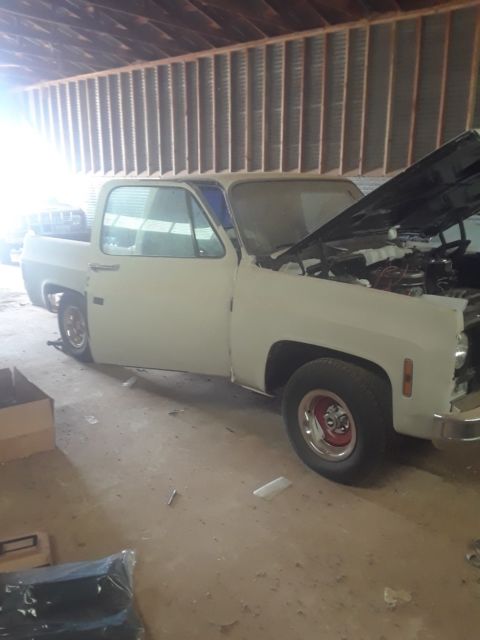 1978 c10 pickup truck Chevelle camaro Corvette Chevy sport 73-87 chevy c1500 gmc 1978 Chevrolet C-10 Chevy Sport