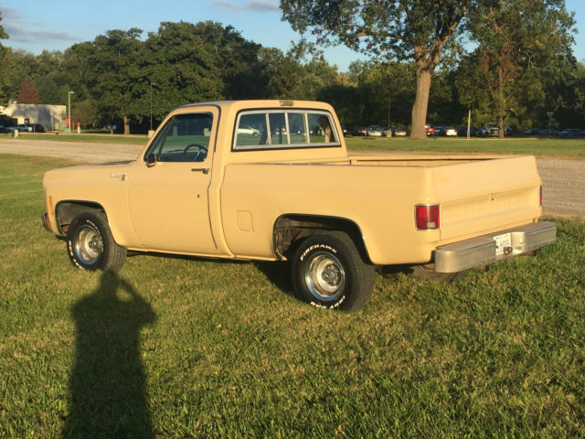 1978 Chevrolet C-10 - photo 6