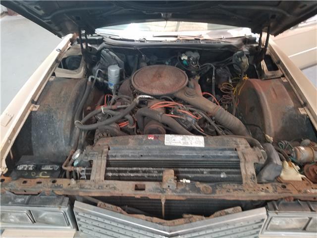 1978 Cadillac Eldorado - photo 7