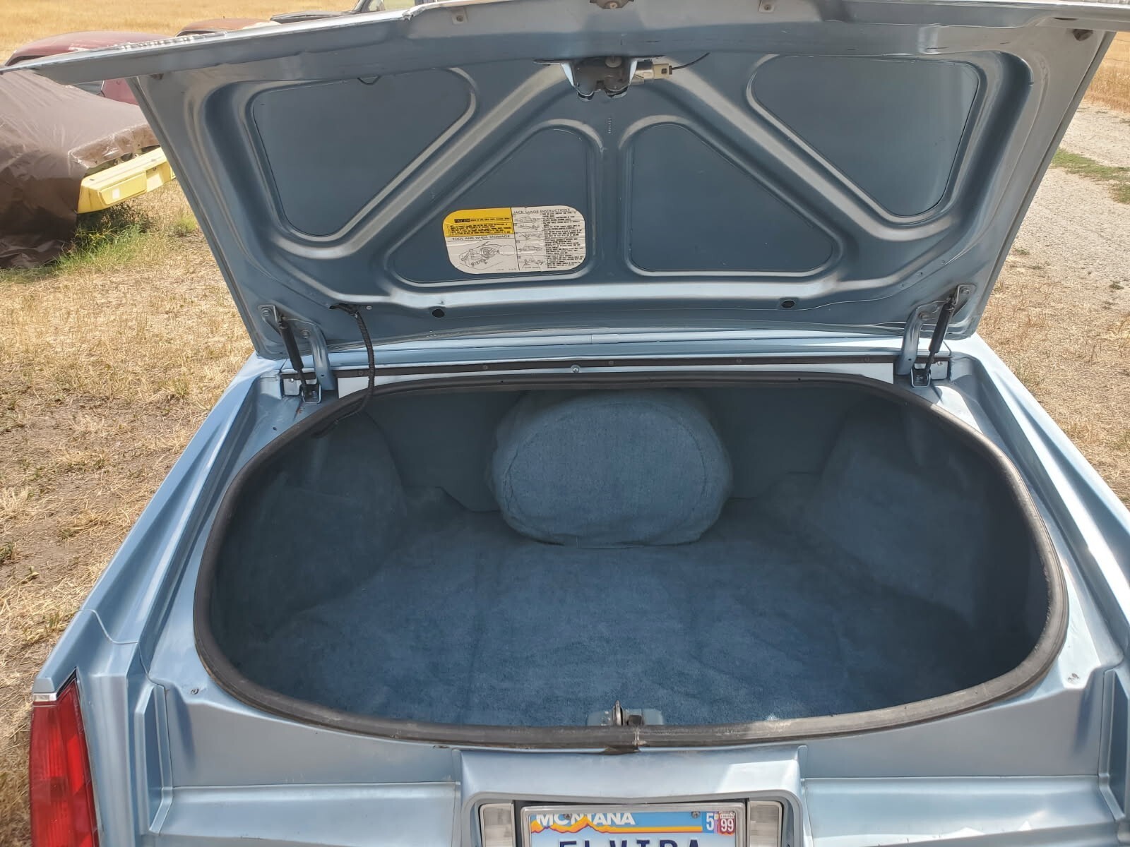 1979 Cadillac Eldorado Biarritz - photo 8