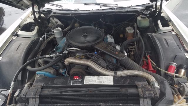 1978 Cadillac Eldorado Biarritz Coupe 2-Door - photo 11