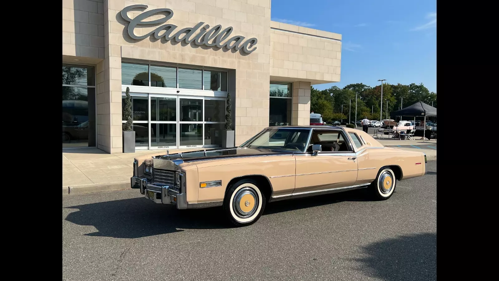 1978 Cadillac Eldorado ELDORADO BIARRITZ CLASSIC COMMEMORATIVE EDITION