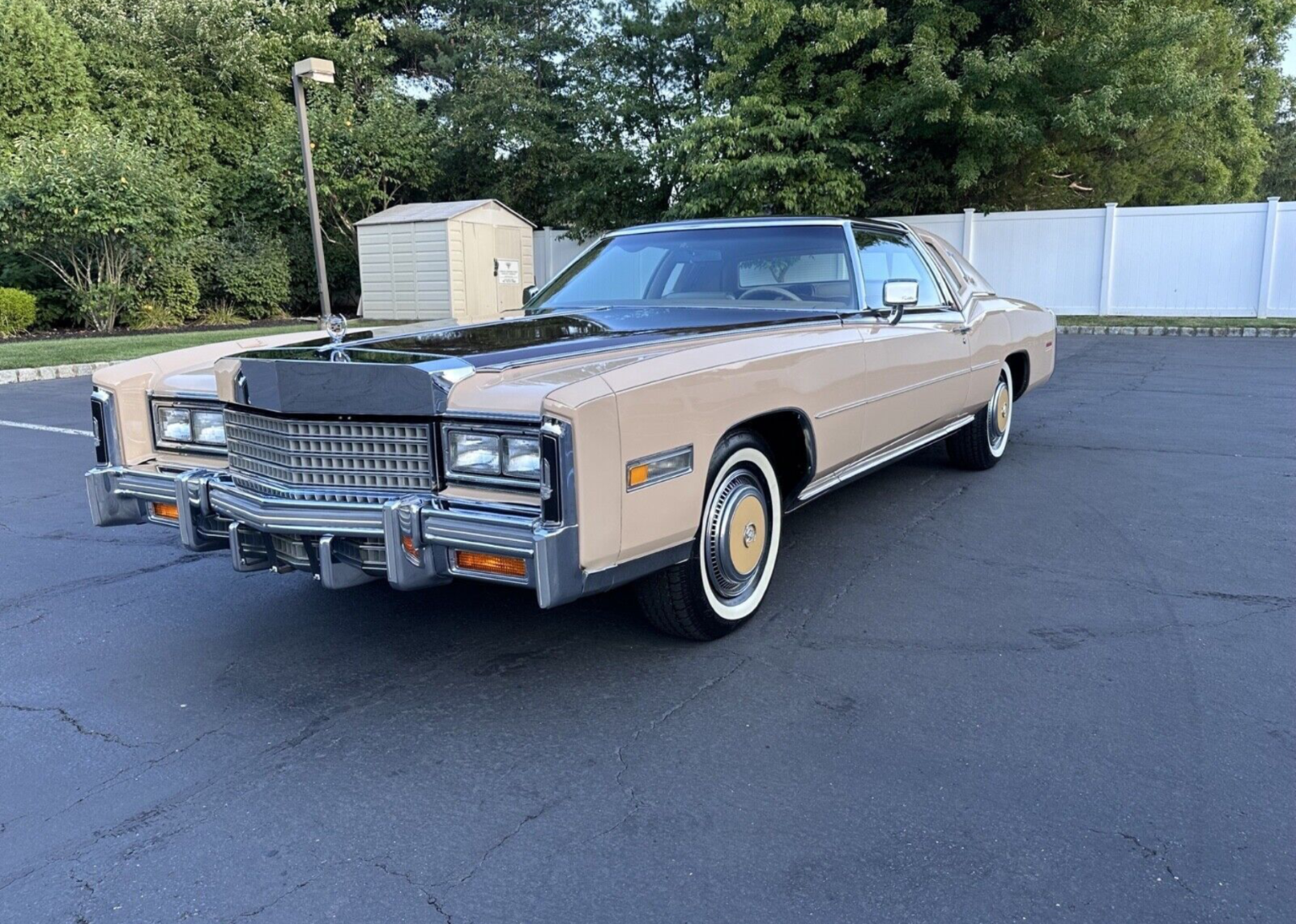1978 Cadillac Eldorado ELDORADO BIARRITZ CLASSIC COMMEMORATIVE EDITION - photo 3