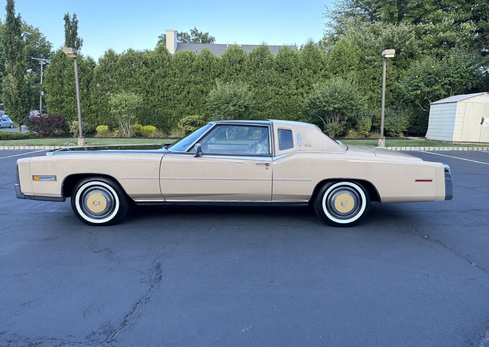 1978 Cadillac Eldorado ELDORADO BIARRITZ CLASSIC COMMEMORATIVE EDITION - photo 6