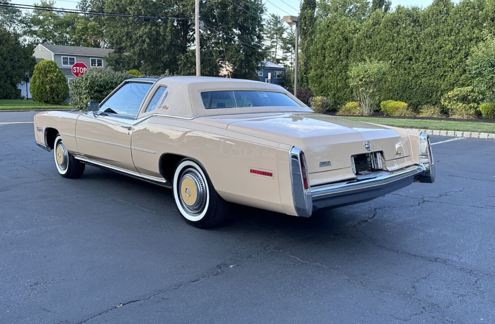 1978 Cadillac Eldorado ELDORADO BIARRITZ CLASSIC COMMEMORATIVE EDITION - photo 7