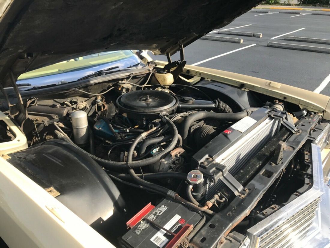 1978 Cadillac Eldorado Eldorado clean low mile coupe. - photo 13
