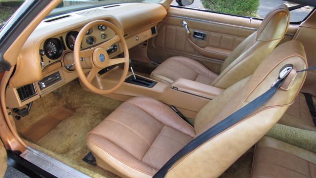1978 Chevrolet Camaro Rally Sport - photo 9
