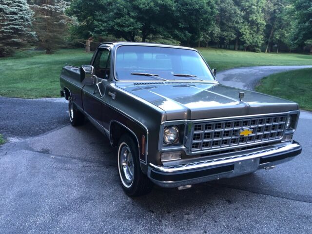 1978 Chevrolet C-10 - photo 5