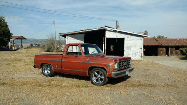 1978 Chevrolet C-10 - photo 6