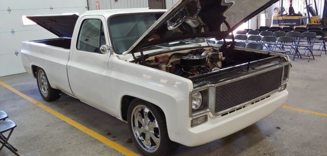 1978 Chevrolet C 10 Truck White 1/2 Ton Pick Up LOW MILES BEAUTIFUL CONDITION 1978 Chevrolet Other Pickups Custom