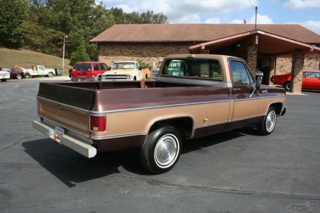 1978 Chevrolet C-10 - photo 6