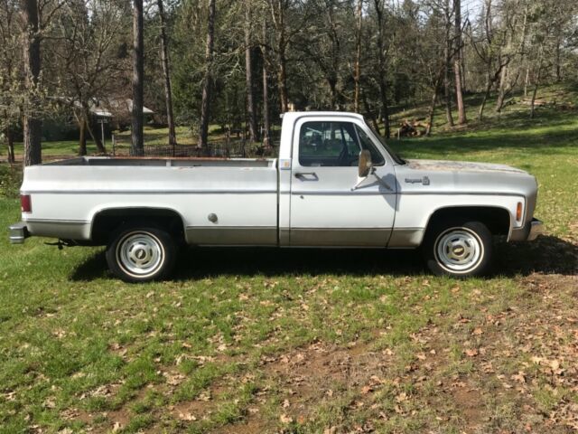 1978 Chevrolet C-10 Cheyenne - photo 3