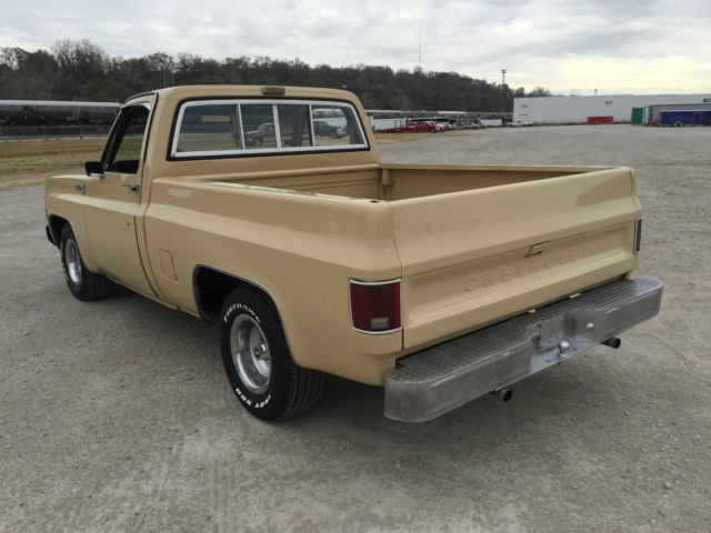 1978 Chevrolet C-10 Scottsdale - photo 3