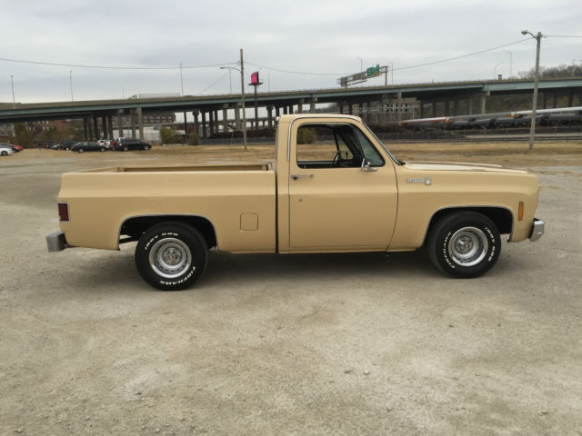 1978 Chevrolet C-10 Scottsdale - photo 6