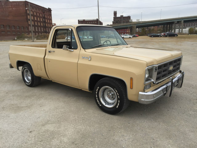 1978 Chevrolet C-10 Scottsdale - photo 7