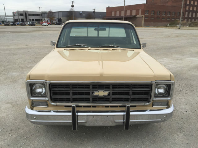 1978 Chevrolet C-10 Scottsdale - photo 8