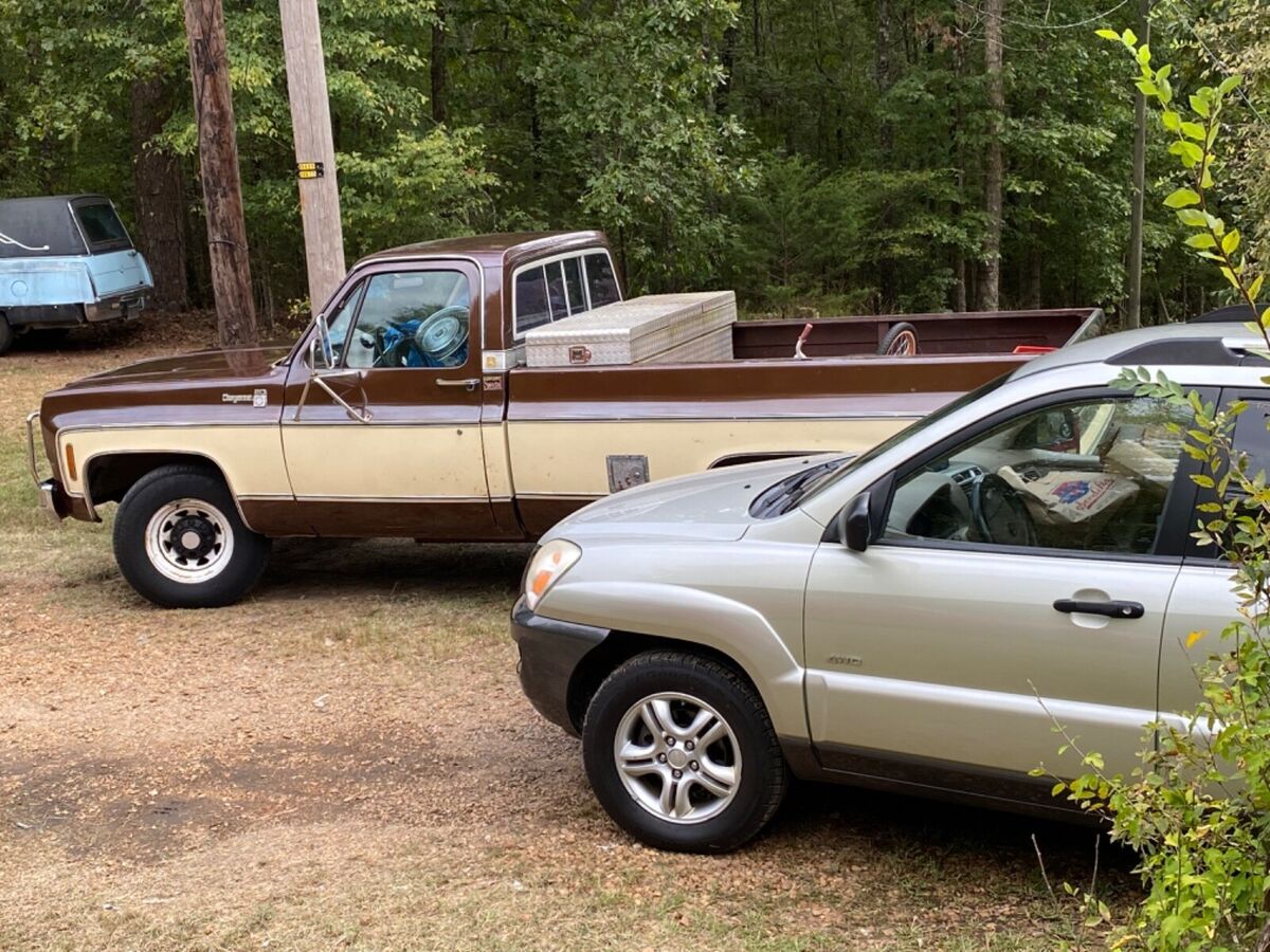1978 Chevrolet Other Pickups - photo 6