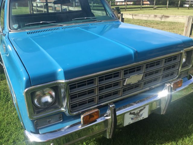 1978 Chevrolet Other Pickups - photo 3