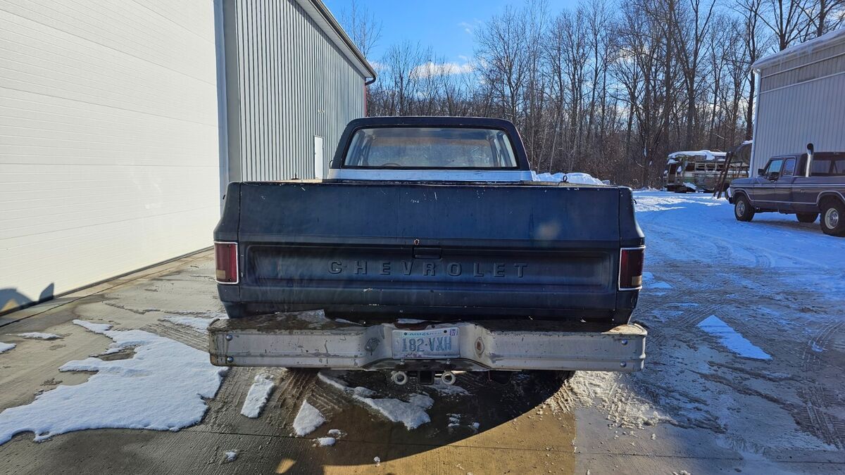 1978 Chevrolet Other Pickups - photo 4