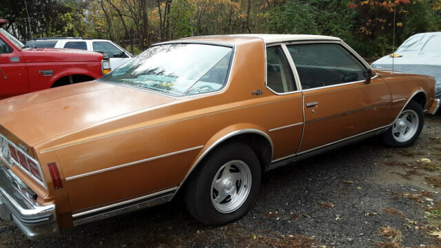 1978 Chevrolet Caprice landau - photo 3