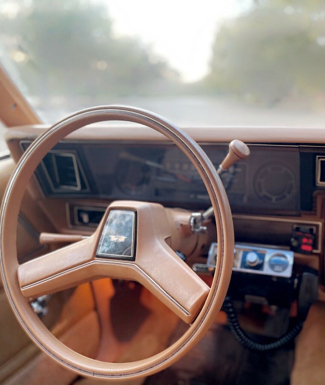 1978 Chevrolet Caprice - photo 10