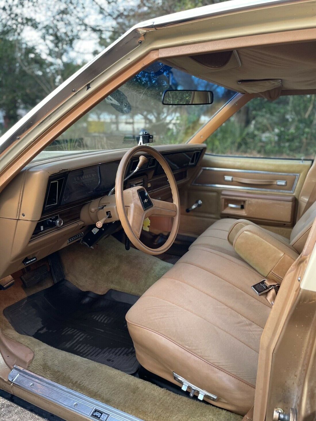 1978 Chevrolet Caprice - photo 11