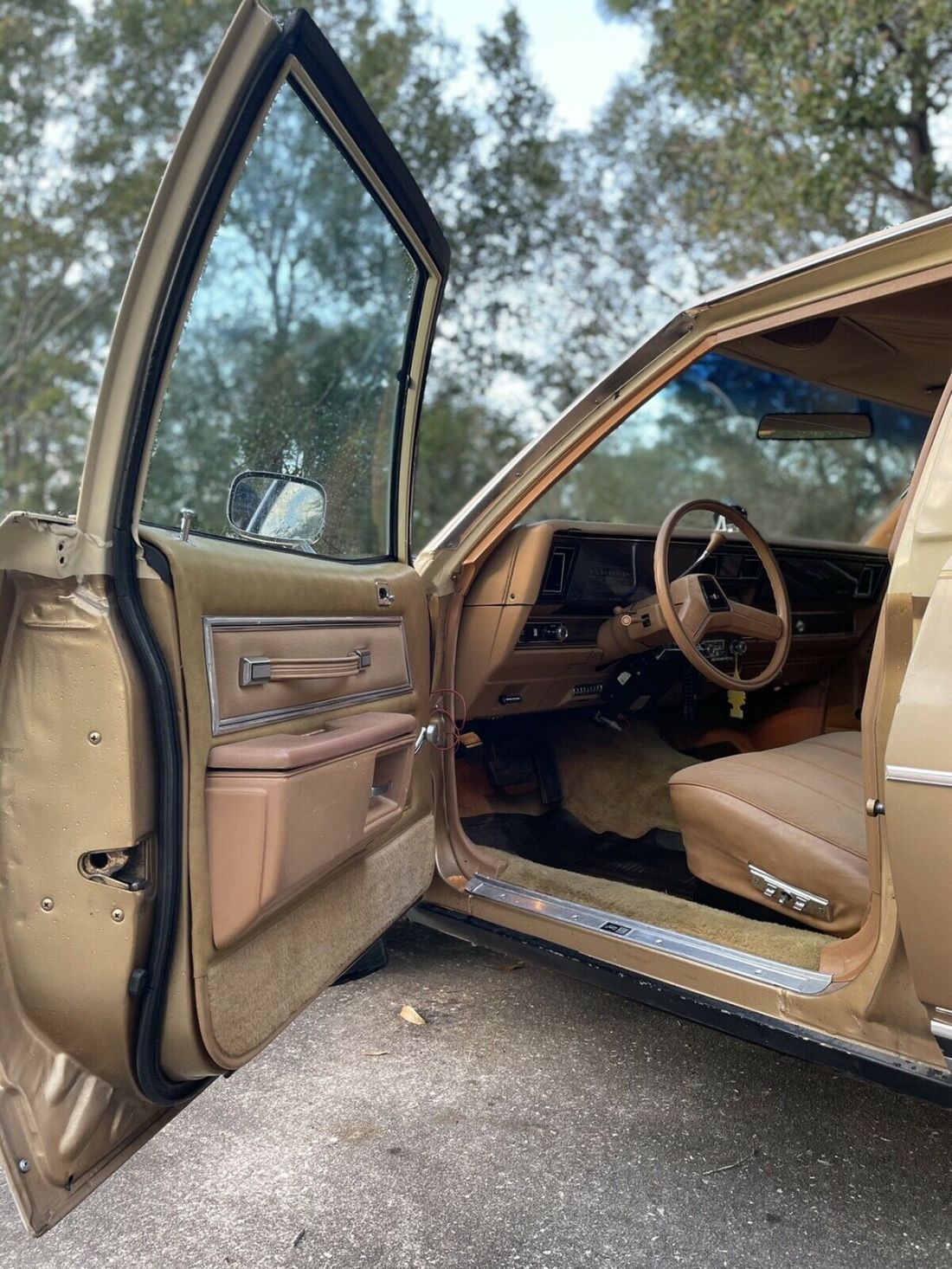 1978 Chevrolet Caprice - photo 12