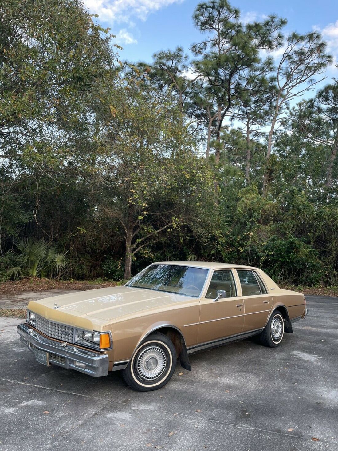 1978 Chevrolet Caprice - photo 2