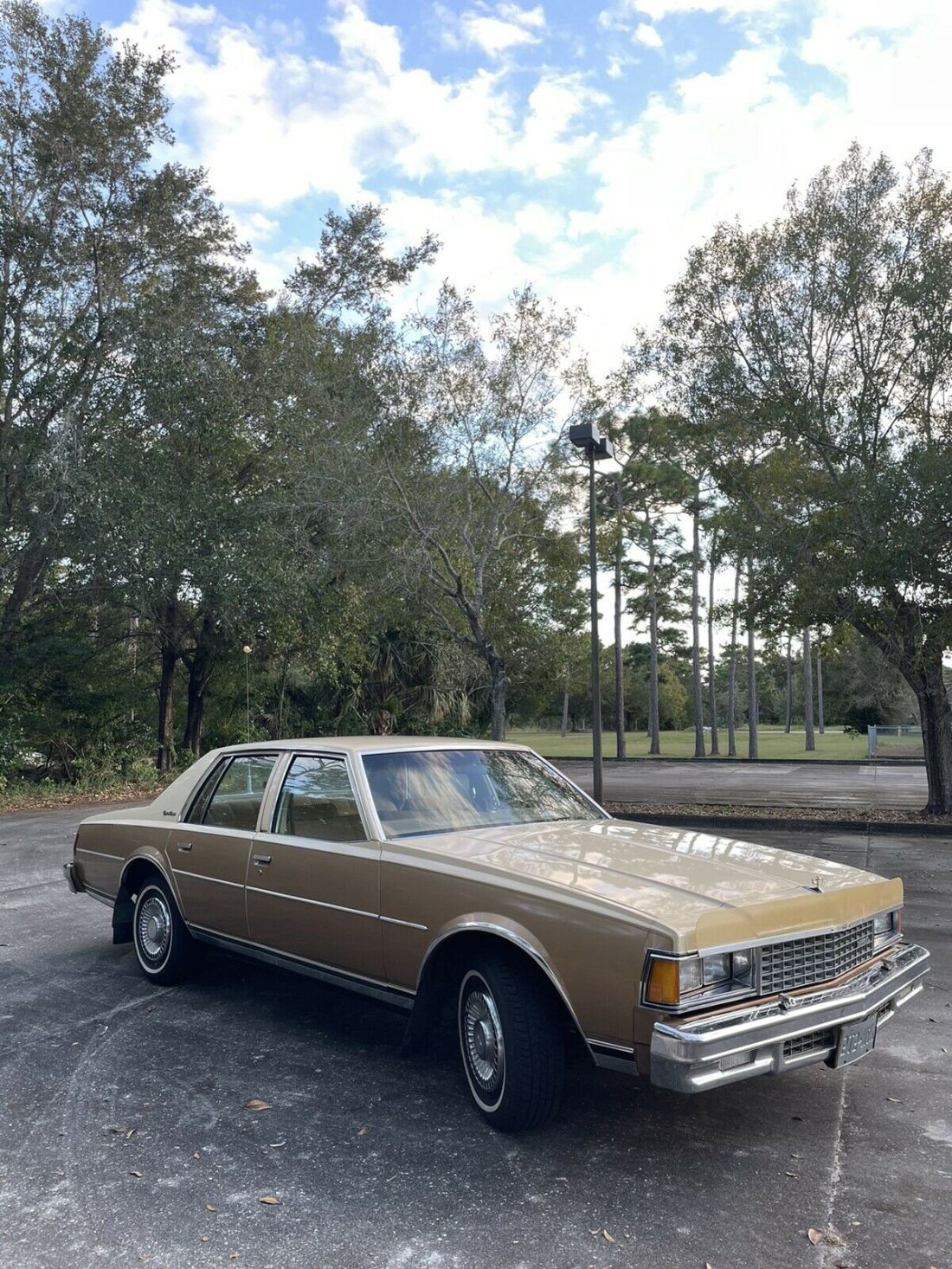 1978 Chevrolet Caprice - photo 3